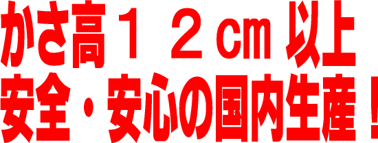 �˥塼������ɥ�٥���WDD90���ӤդȤ�