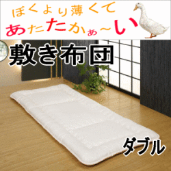 ���󥵥졼���ߤ����ġ����֥�